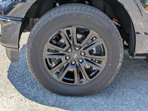 ANTIMATTER BLUE METALLIC 2025 Ford F-150 PLATINUM