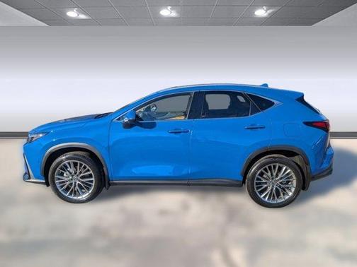 2025 Lexus NX 350h Luxury