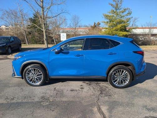 2025 Lexus NX 350h Luxury