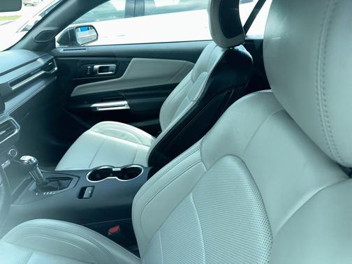Silver Metallic 2024 Ford Mustang EcoBoost Premium