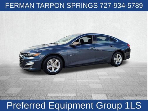 2019 Chevrolet Malibu 1LS