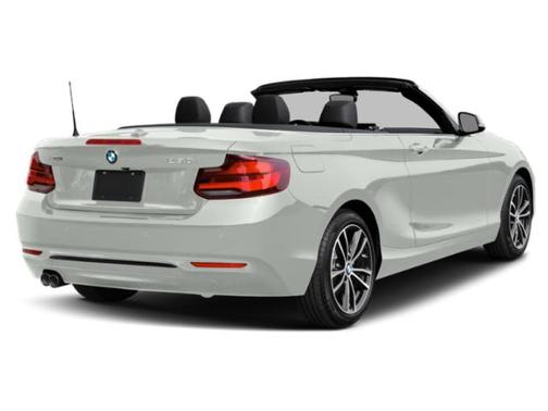 Alpine White 2020 BMW 230 230i