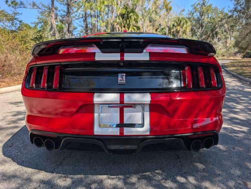 2019 Ford Shelby GT350 Base