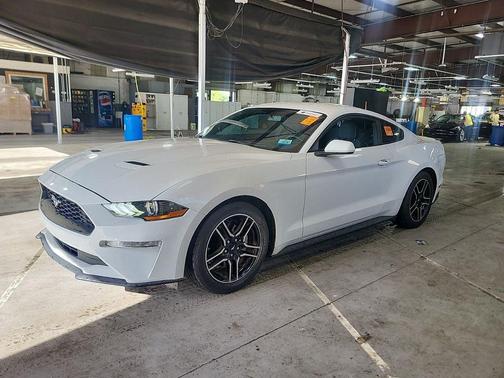 Oxford White 2018 Ford Mustang EcoBoost