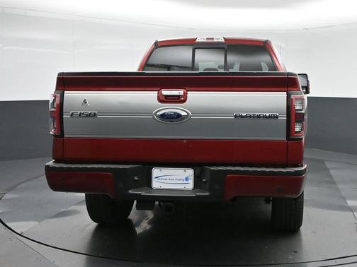 2013 Ford F-150 Platinum