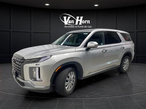 Typhoon Silver 2025 Hyundai PALISADE SEL