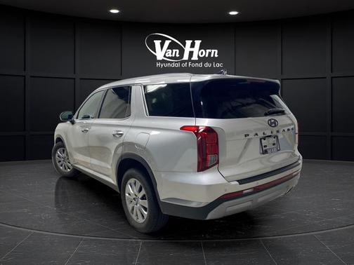 Typhoon Silver 2025 Hyundai PALISADE SEL