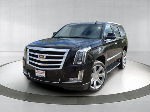 Black Raven 2019 Cadillac Escalade Luxury
