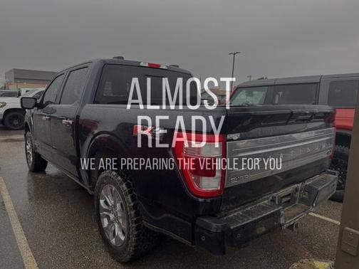 2023 Ford F-150 PLATINUM