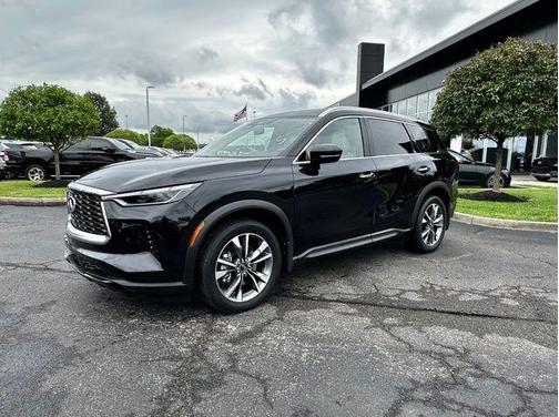Mineral Black 2023 INFINITI QX60 Luxe