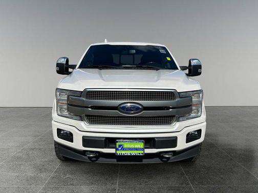 2019 Ford F-150 Platinum