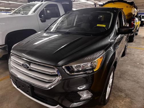 Magnetic 2019 Ford Escape SE