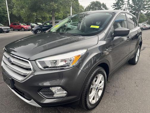 Magnetic 2019 Ford Escape SE