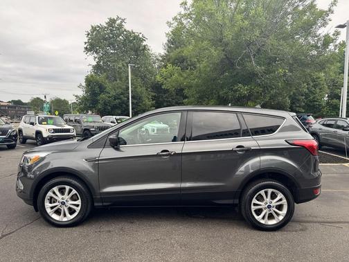Magnetic 2019 Ford Escape SE
