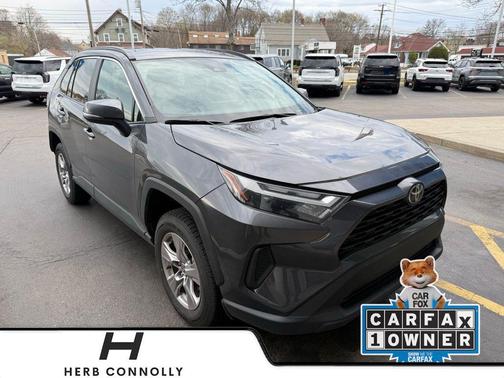 Magnetic Gray Metallic 2025 Toyota RAV4 XLE