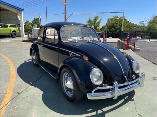 1965 Volkswagen Beetle (Pre-1980)