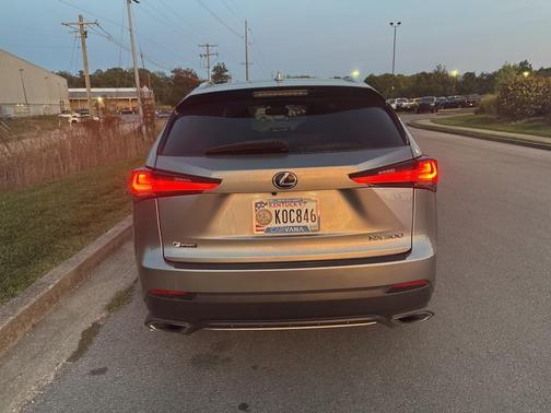 2021 Lexus NX 300 F Sport