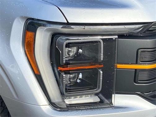 2021 Ford F-150 Tremor