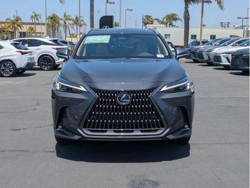 Cloudburst Gray 2026 Lexus NX 350 350 PREMIUM AWD