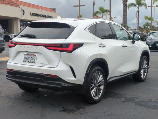 2025 Lexus NX 350h Luxury