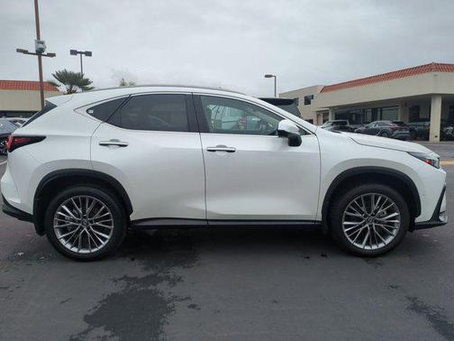 2025 Lexus NX 350h Luxury