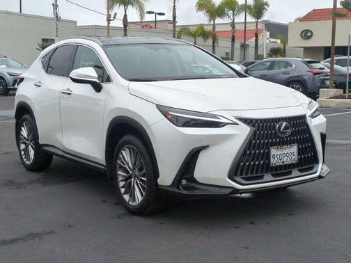 2025 Lexus NX 350h Luxury