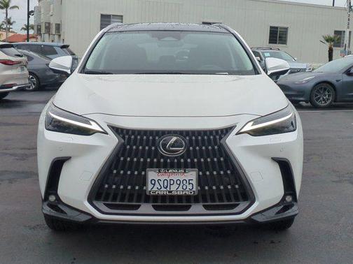 2025 Lexus NX 350h Luxury