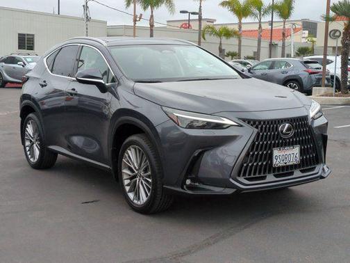 2025 Lexus NX 350h Luxury