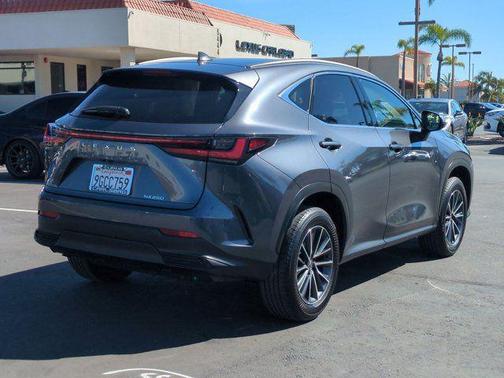 2024 Lexus NX 250 250 Premium