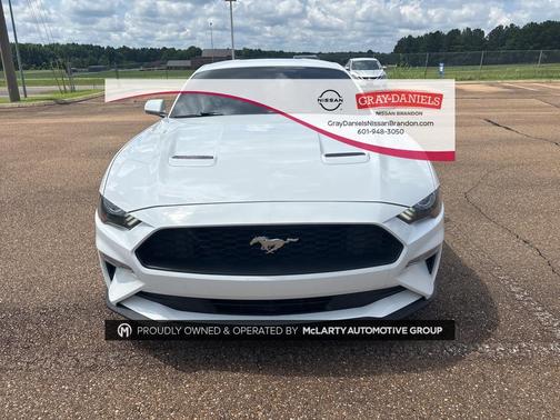 2019 Ford Mustang EcoBoost