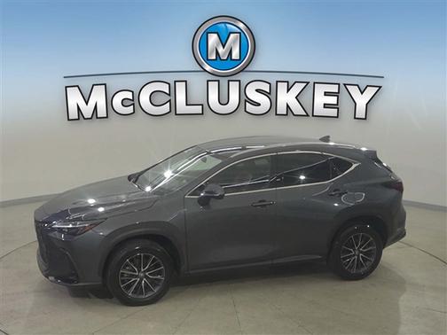 2024 Lexus NX 250 Base