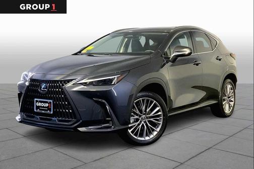 2025 Lexus NX 350h Premium