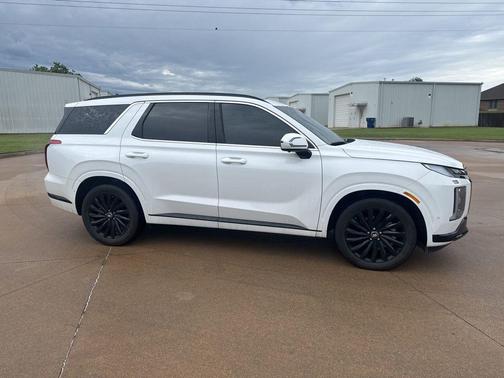 Hyper White 2025 Hyundai PALISADE Calligraphy Night Edition