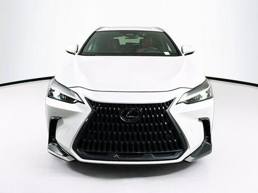 2024 Lexus NX 250 Premium