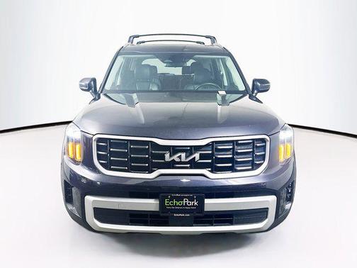 Panthera Metal 2025 Kia Telluride S