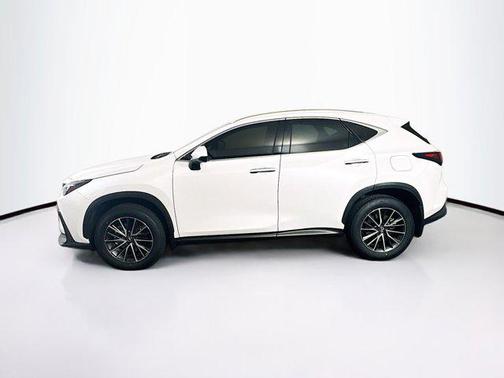 2025 Lexus NX 250 Premium