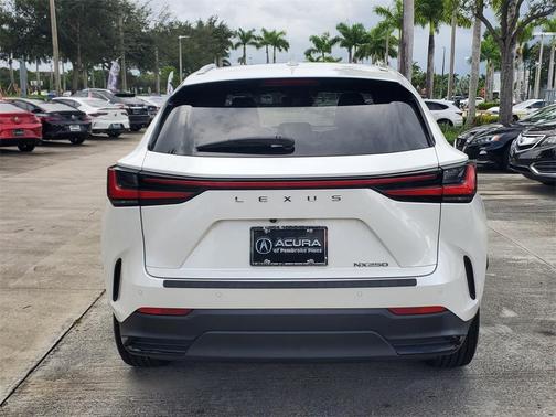 2022 Lexus NX 250 Premium