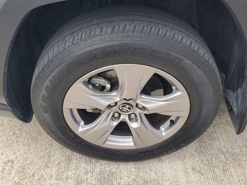 Magnetic Gray Metallic 2025 Toyota RAV4 XLE