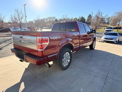 2013 Ford F-150 Platinum