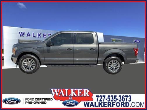 Magnetic 2019 Ford F-150 XLT