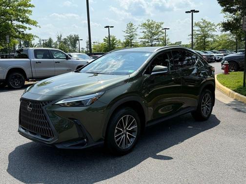 2024 Lexus NX 350h Premium