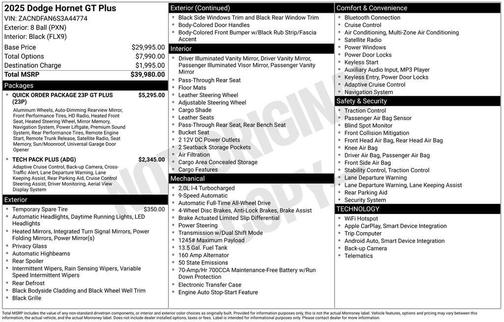 8 BALL 2025 Dodge Hornet GT
