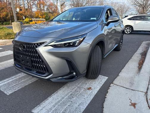 2023 Lexus NX 350 Premium