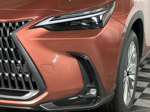 2025 Lexus NX 350 Luxury