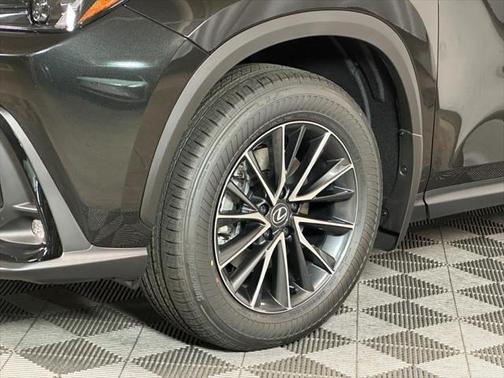 2025 Lexus NX 350h Premium