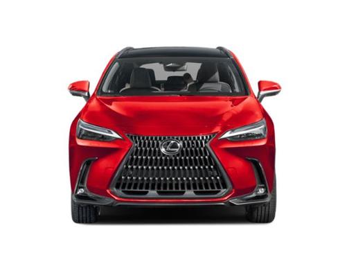 2025 Lexus NX 350h Luxury