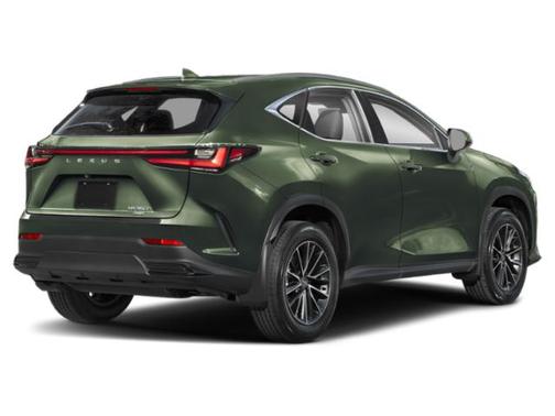 2025 Lexus NX 350h Luxury