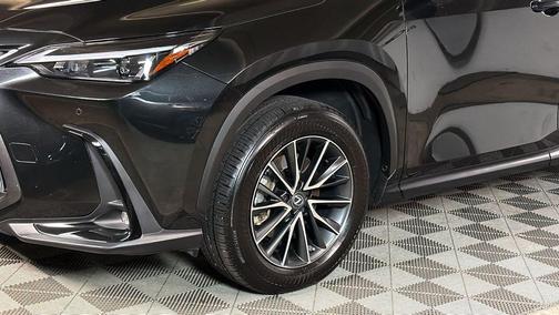 2023 Lexus NX 350 Premium