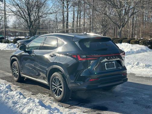 2023 Lexus NX 350 Premium