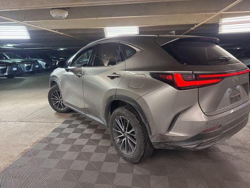 2023 Lexus NX 350 Premium